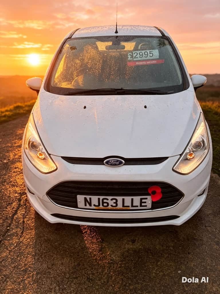 2013 FORD B-MAX